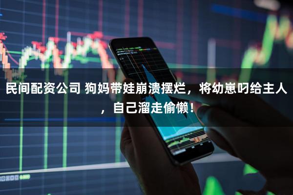 民间配资公司 狗妈带娃崩溃摆烂，将幼崽叼给主人，自己溜走偷懒！