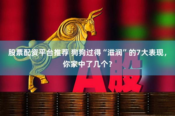 股票配资平台推荐 狗狗过得“滋润”的7大表现，你家中了几个？