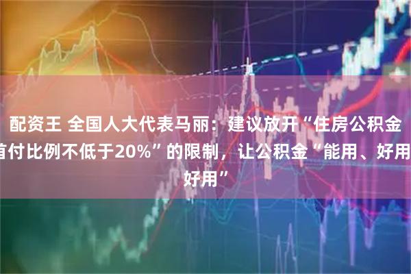 配资王 全国人大代表马丽：建议放开“住房公积金首付比例不低于20%”的限制，让公积金“能用、好用”