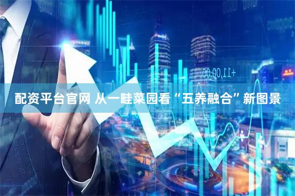 配资平台官网 从一畦菜园看“五养融合”新图景